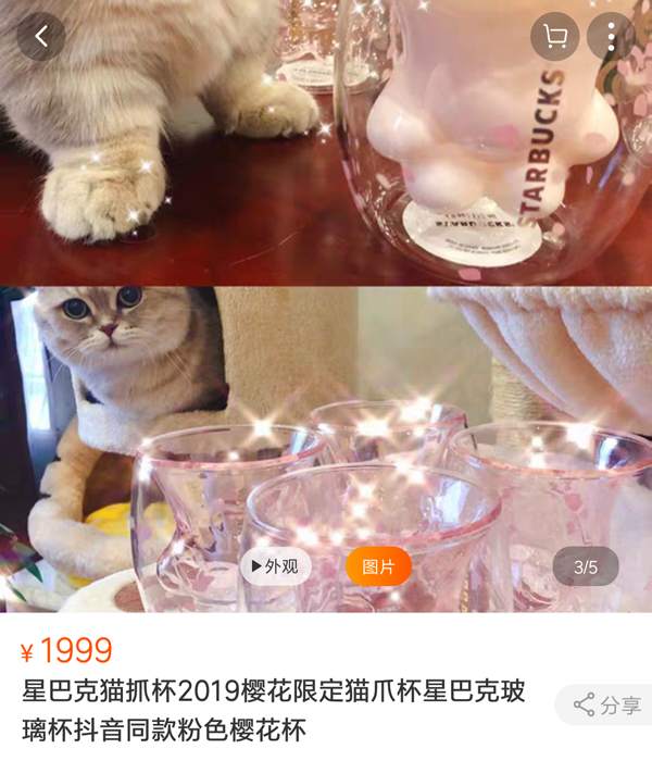 貓爪杯網上售價